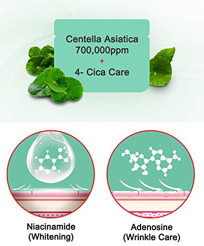 Centella asiatica