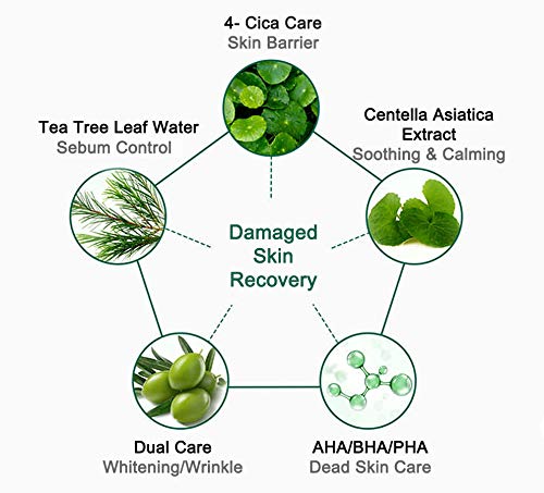 fruits and herbs
